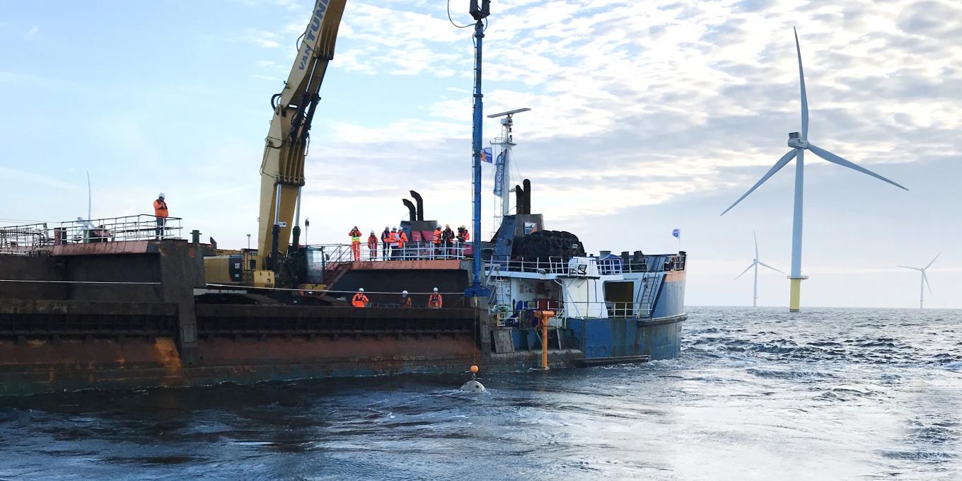 Oysters and artificial reefs for new nature development within North ...